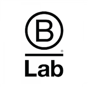B Lab Logo | Executive Coaching Sydney | the human enterprise